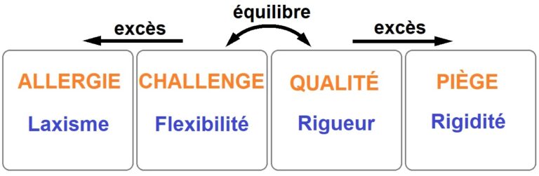 quadrant d'ofman en psychothérapie ou coaching ou développement personnel : version en ligne : allergie, challenge, qualité, piège, équilibre et excès dans la personnalité et les traits de caractère