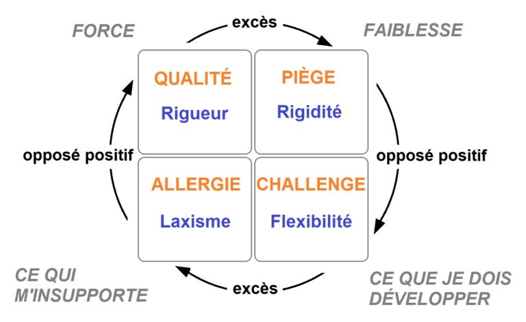 quadrant d'ofman en psychothérapie ou coaching ou développement personnel : version en quadrant : allergie, challenge, qualité, piège, équilibre et excès dans la personnalité et les traits de caractère