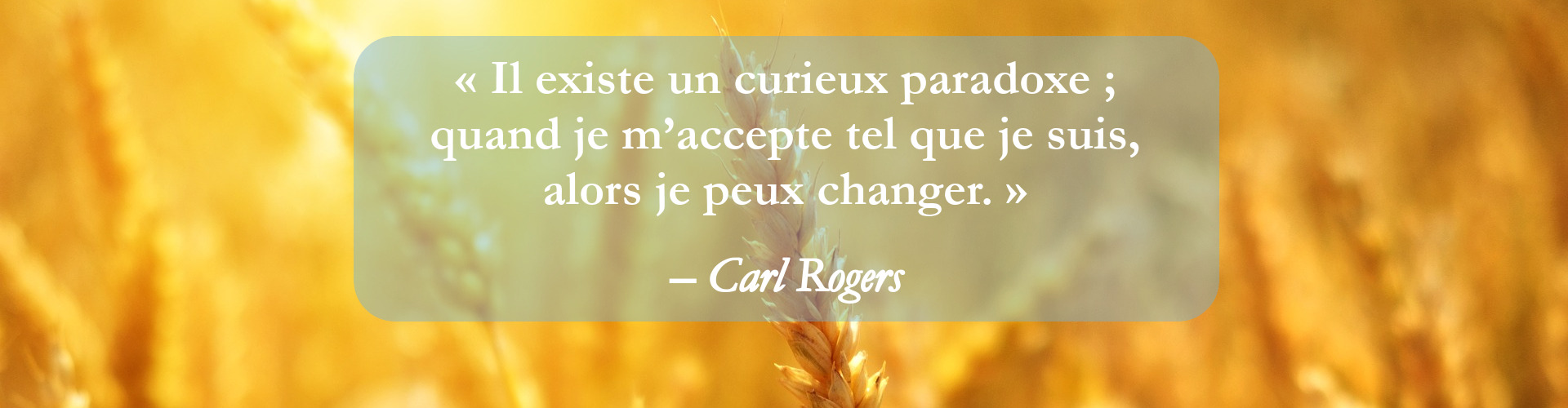 citation sur s’accepter pour aller mieux : une psychothérapie peut être réalisée par un psychologue formé, un psychothérapeute ou un psychopraticien, pour soulager, guérir et transformer les relations à soi, aux autres et au monde